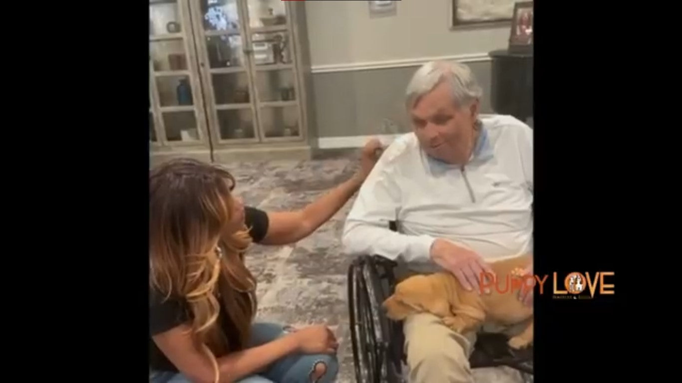 Load video: puppy, puppies and dogs, dog visit to a senior elderly home