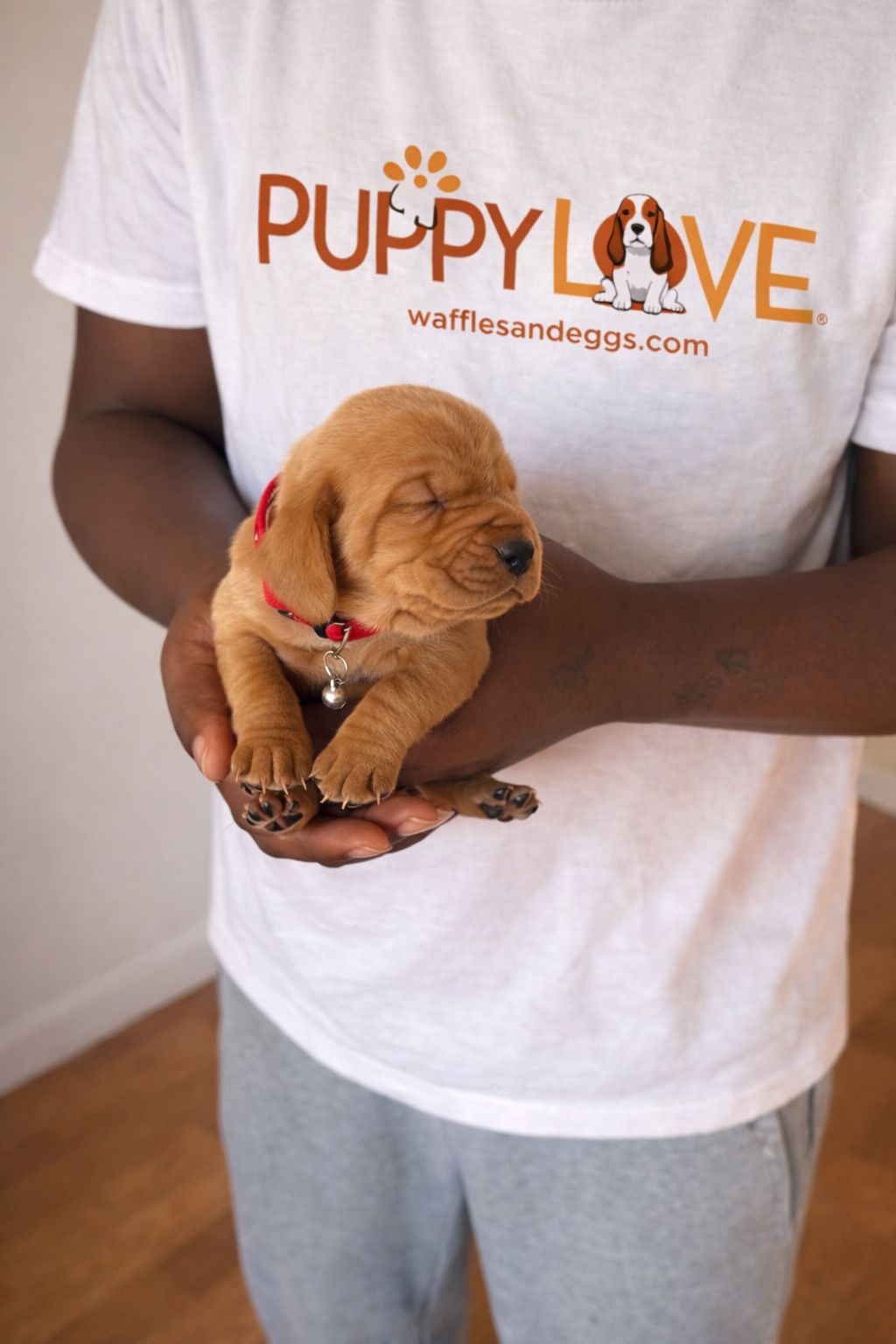 [SOLD] Butterfinger (Female) + FREE Puppy Love Charm