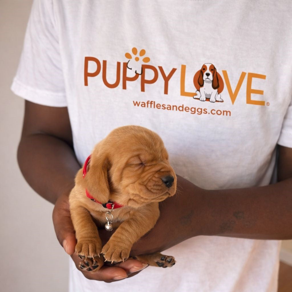 [SOLD] Butterfinger (Female) + FREE Puppy Love Charm