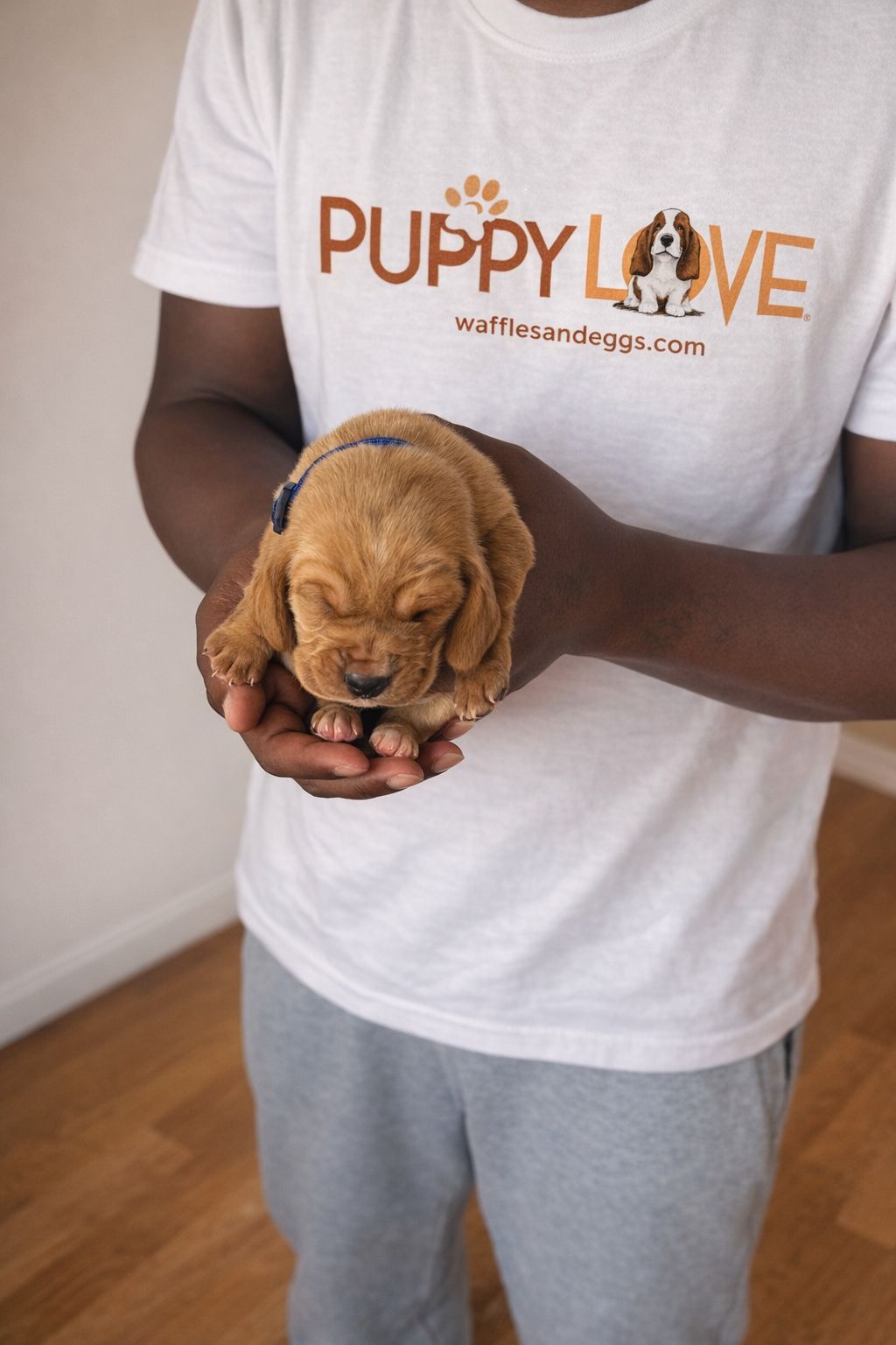 [SOLD] Ginger Snap (Female) + FREE Puppy Love Charm