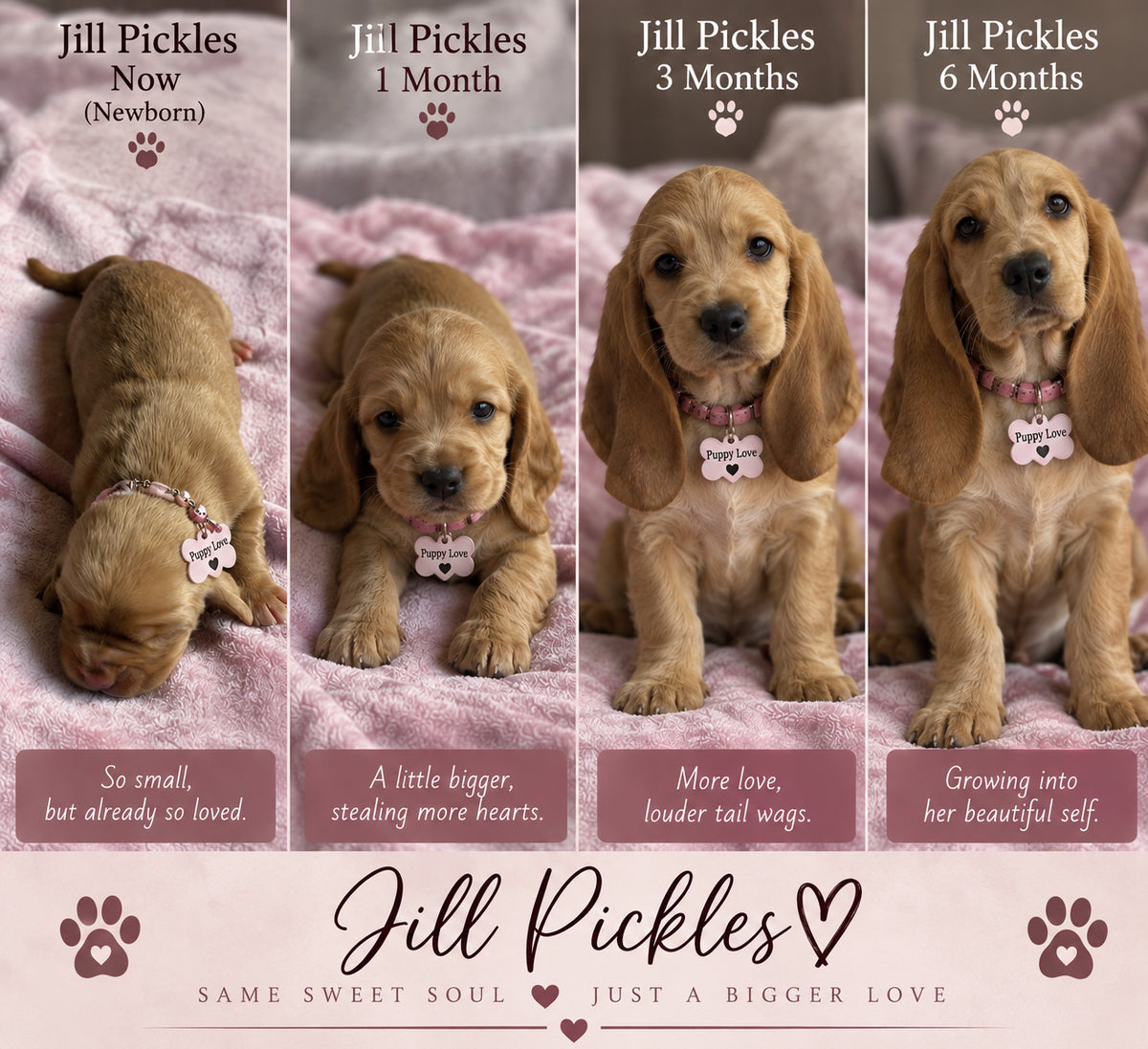 Jill Pickles (Female) + FREE Puppy Love Charm